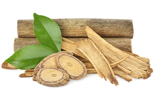 Tongkat Ali – The National Treasure of Malaysia