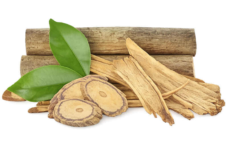 Tongkat Ali – The National Treasure of Malaysia